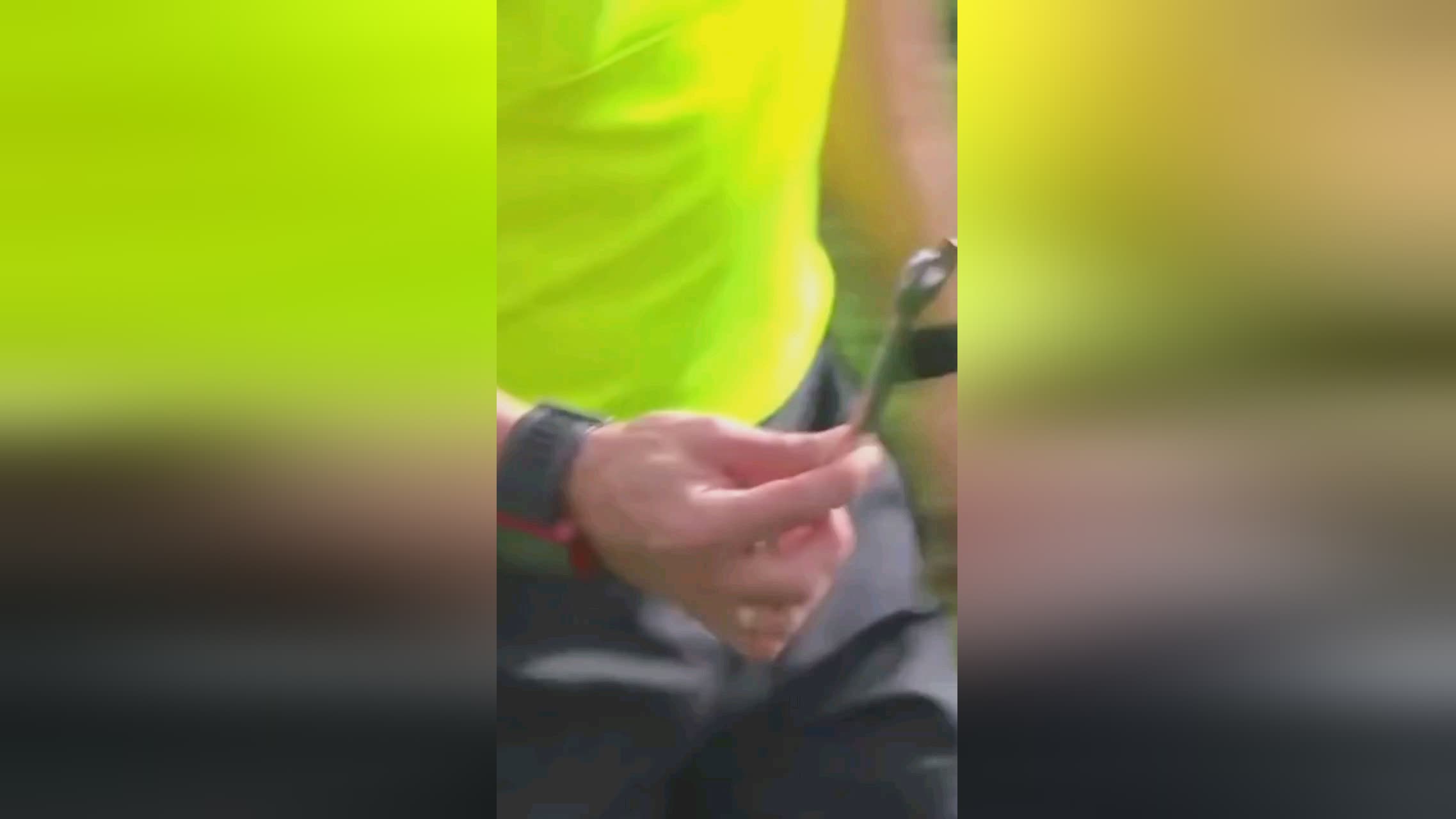 塔尔的奇